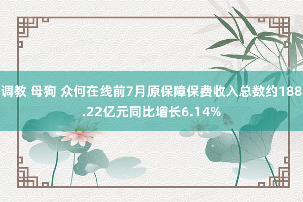 调教 母狗 众何在线前7月原保障保费收入总数约188.22亿元同比增长6.14%